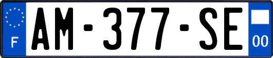 AM-377-SE