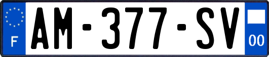 AM-377-SV