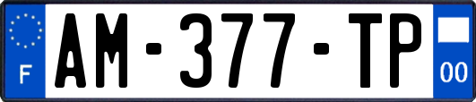 AM-377-TP
