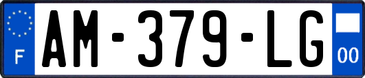 AM-379-LG