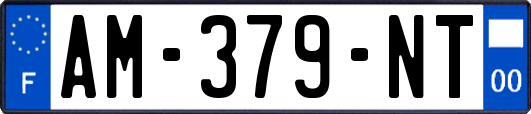 AM-379-NT