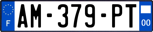 AM-379-PT
