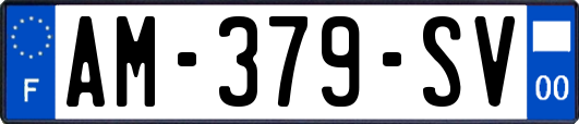 AM-379-SV