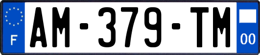 AM-379-TM