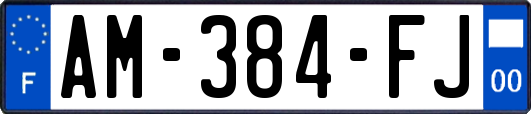 AM-384-FJ