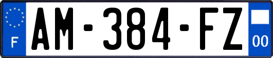 AM-384-FZ
