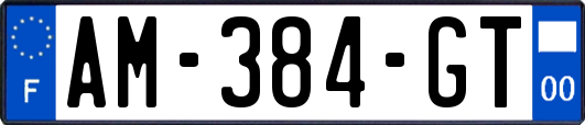 AM-384-GT