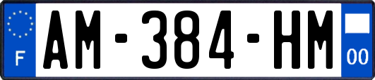 AM-384-HM