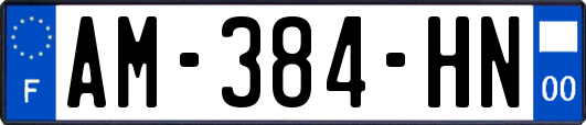 AM-384-HN