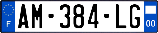 AM-384-LG