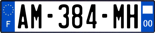 AM-384-MH