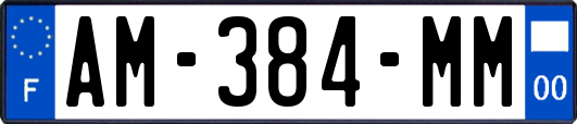 AM-384-MM