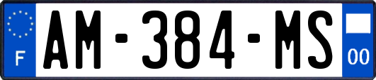 AM-384-MS