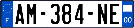 AM-384-NE
