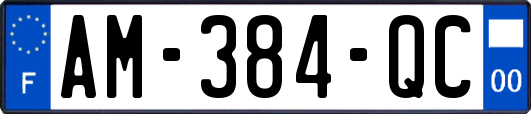 AM-384-QC