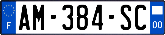 AM-384-SC