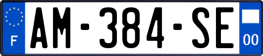 AM-384-SE