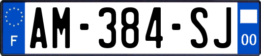 AM-384-SJ