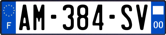 AM-384-SV