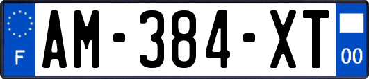 AM-384-XT