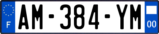 AM-384-YM