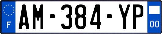 AM-384-YP