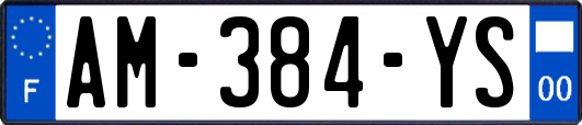 AM-384-YS