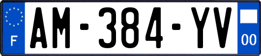 AM-384-YV