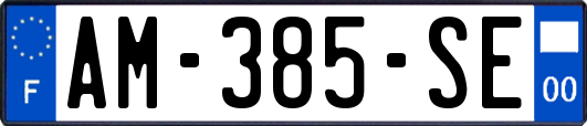 AM-385-SE