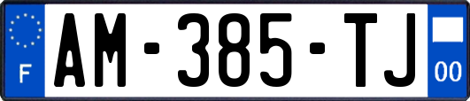 AM-385-TJ