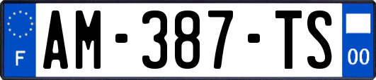 AM-387-TS