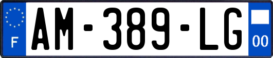 AM-389-LG
