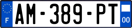 AM-389-PT