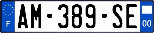 AM-389-SE