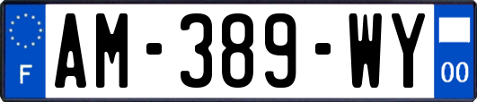 AM-389-WY