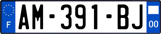 AM-391-BJ