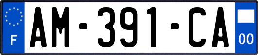 AM-391-CA