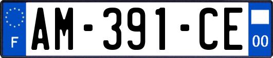 AM-391-CE