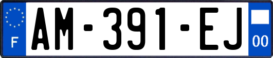 AM-391-EJ