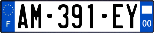 AM-391-EY