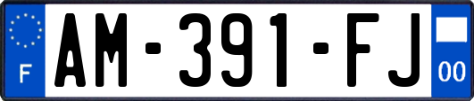 AM-391-FJ