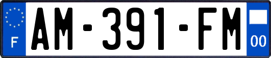 AM-391-FM