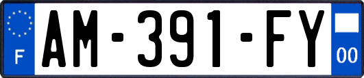 AM-391-FY