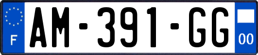 AM-391-GG