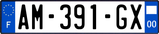 AM-391-GX