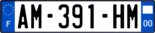 AM-391-HM