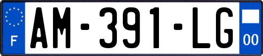 AM-391-LG