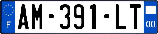 AM-391-LT