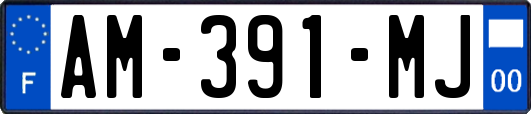 AM-391-MJ
