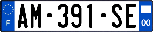 AM-391-SE